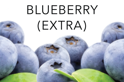 PERFUME APPRENTICE - BLUEBERRY EXTRA